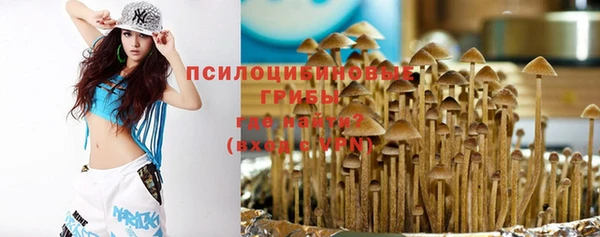 мяу мяу мука Нязепетровск