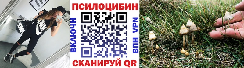ссылка на мегу ССЫЛКА  Певек  Псилоцибиновые грибы MAGIC MUSHROOMS 