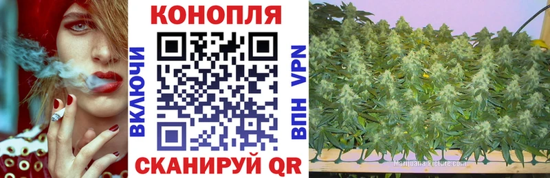 omg как зайти  Певек  Марихуана гибрид 